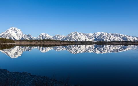 養兔子巧喂料 掌握三要三不要