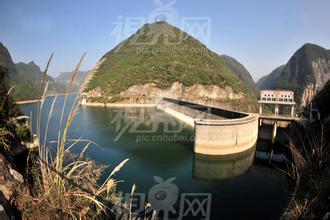  飼料中有害生物對飼料的危害及防治方法