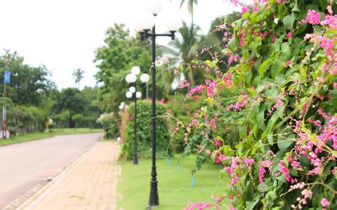第四屆商業配方師沈陽研習班-講師風采（圖）