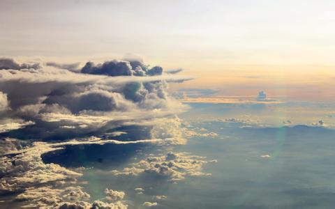 仔豬飼料加油脂技術(shù)